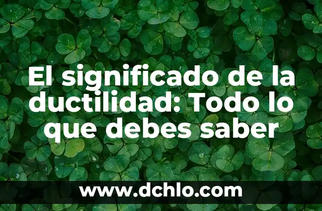Significado de Fermín: Todo lo que debes saber 4 El significado de la ductilidad: Todo lo que debes saber