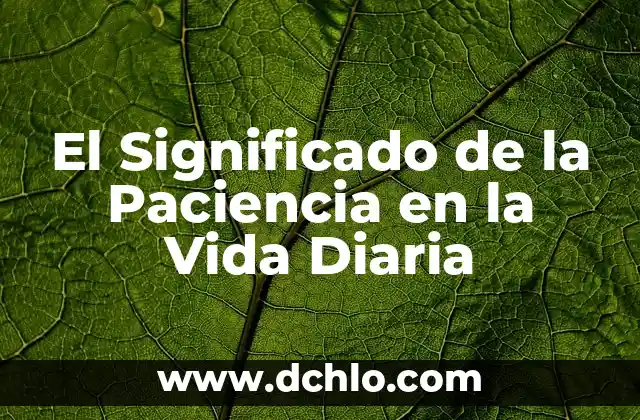 El Significado de la Paciencia en la Vida Diaria