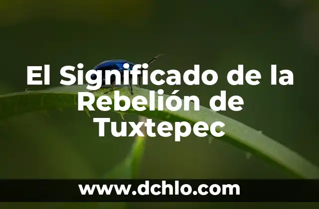 Significado de la Rama de Veracruz: Un Análisis Detallado 8 El Significado de la Rebelión de Tuxtepec