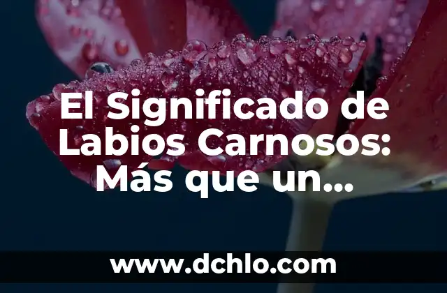 Cómo Curar una Herida en los Labios Genitales de Forma Natural y Segura 3 El Significado de Labios Carnosos: Más que un Atributo Físico