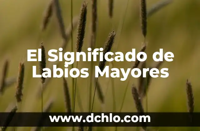 Cómo Curar una Herida en los Labios Genitales de Forma Natural y Segura 4 El Significado de Labios Mayores