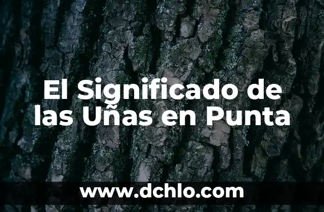El Papel de las Unas en los Polímeros 5 El Significado de las Uñas en Punta