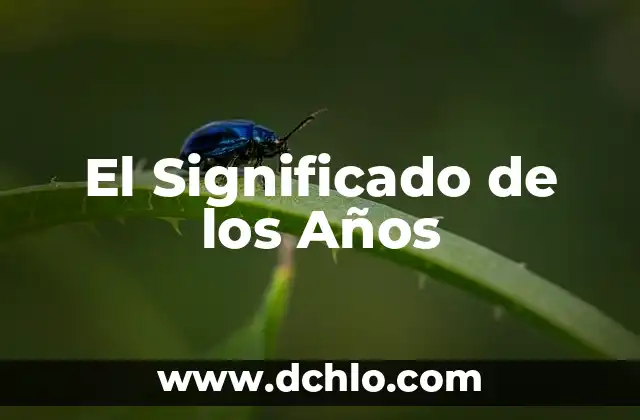El Significado del Nombre Yoselin en Griego 3 El Significado de los Años