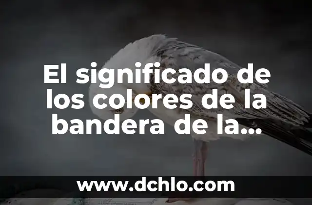 Significado de SVP - Una Mirada Integral 7 El significado de los colores de la bandera de la India