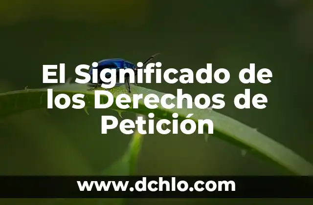 Velador de los Derechos Significado 6 El Significado de los Derechos de Petición