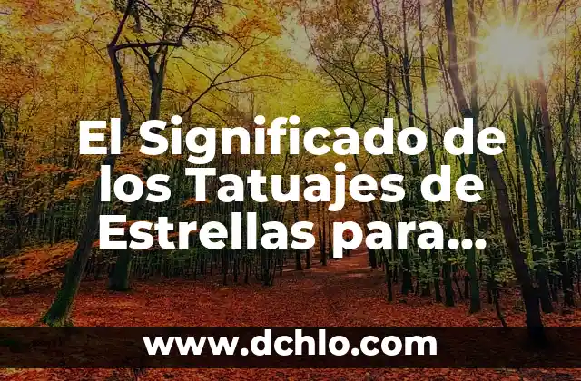 Tattoajes de Aves para Mujeres Significado 3 El Significado de los Tatuajes de Estrellas para Mujeres