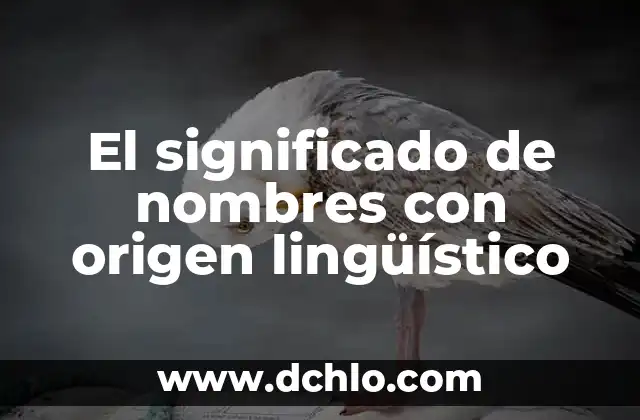 El significado del vestido de emoticono: explorando su simbolismo 3 El significado de nombres con origen lingüístico