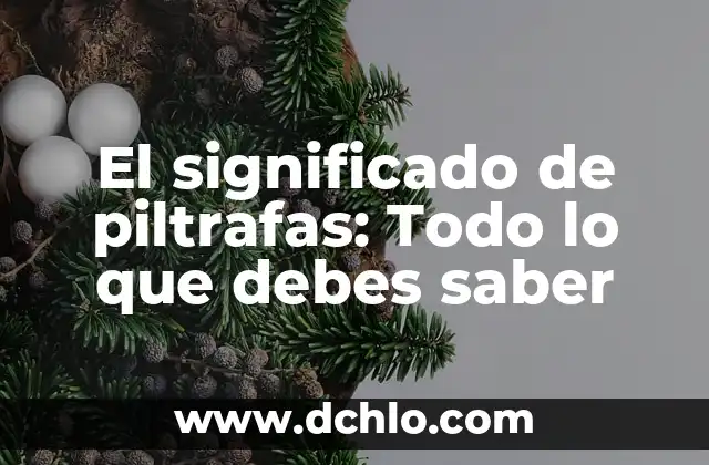 Sintomas de una piedra en la vesícula: ¿Qué debes saber? 4 El significado de piltrafas: Todo lo que debes saber
