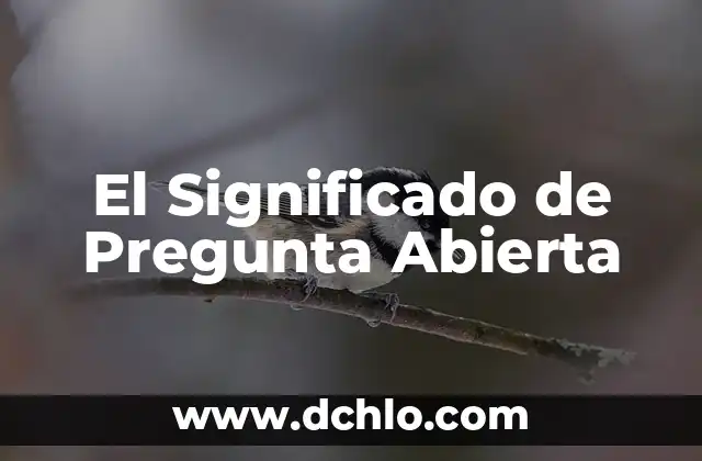 Significado de Abierta: Guía Completa y Detallada 3 El Significado de Pregunta Abierta