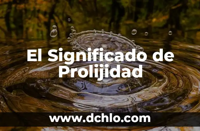 Significado en Metodología de Segmentación 3 El Significado de Prolijidad