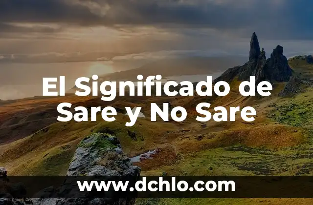 Significado Emojis de WhatsApp 2018 3 El Significado de Sare y No Sare