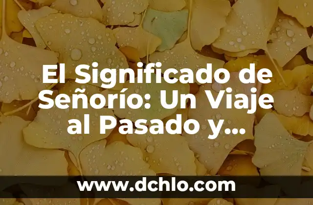 Como hacer una oración en presente progresivo 6 El Significado de Señorío: Un Viaje al Pasado y Presente