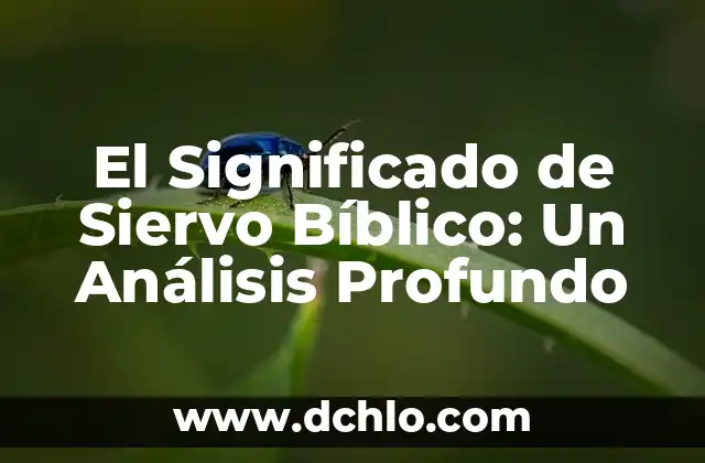 Significado de Logos de Guías Mayores 7 El Significado de Siervo Bíblico: Un Análisis Profundo