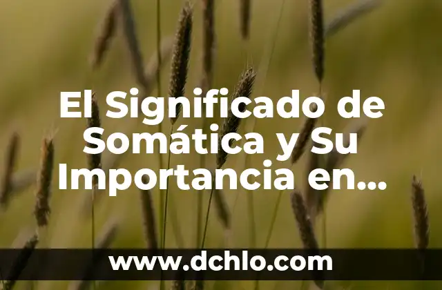 Cómo hacer encabezados diferentes en Word 3 El Significado de Somática y Su Importancia en Diferentes Campos