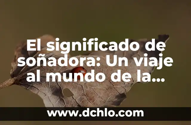 Significado de la Vestimenta de Oaxaca: Un Viaje a Través de su Historia y Cultura 6 El significado de soñadora: Un viaje al mundo de la imaginación