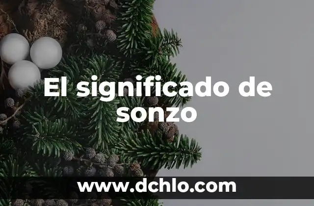 Significado del Valor de Tenacidad 3 El significado de sonzo