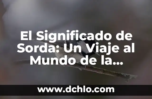 El Significado de Sorongo: Un Viaje Musical a lo Largo del Tiempo 5 El Significado de Sorda: Un Viaje al Mundo de la Sordera