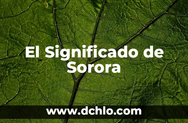 El Significado de SOS: Un Grito de Auxilio con Historia 4 El Significado de Sorora