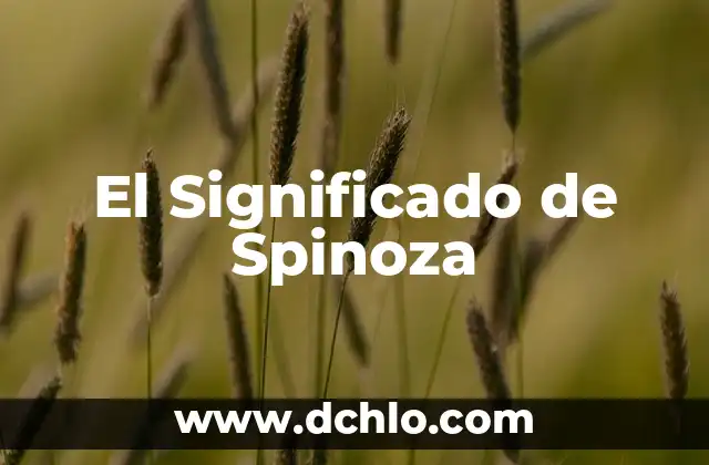 El Significado Profundo de la Espada 4 El Significado de Spinoza