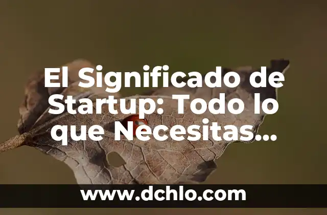 Significado de Squirts: Todo lo que debes saber 6 El Significado de Startup: Todo lo que Necesitas Saber