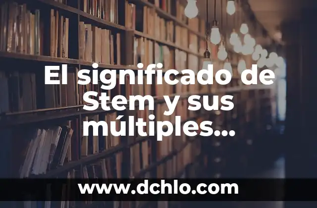 Palabras con múltiples significados en el contexto de los bienes 3 El significado de Stem y sus múltiples interpretaciones