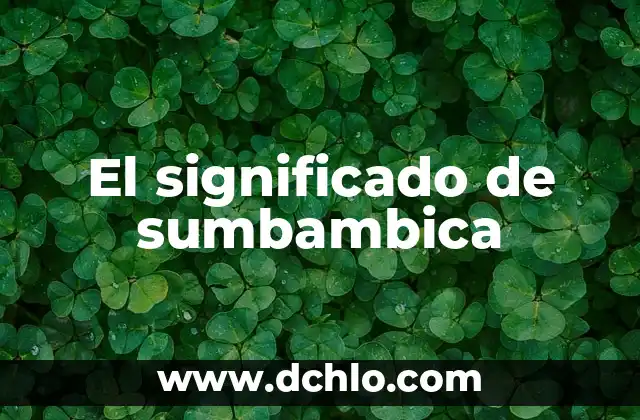 Significado de Suma: Entendiendo el Concepto Básico 8 El significado de sumbambica