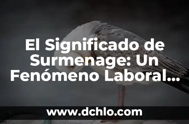 Significado de Swag: Un Fenómeno Cultural 4 El Significado de Surmenage: Un Fenómeno Laboral Actual