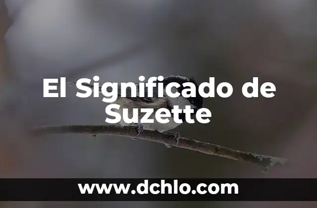 Significado de Swaggy 4 El Significado de Suzette