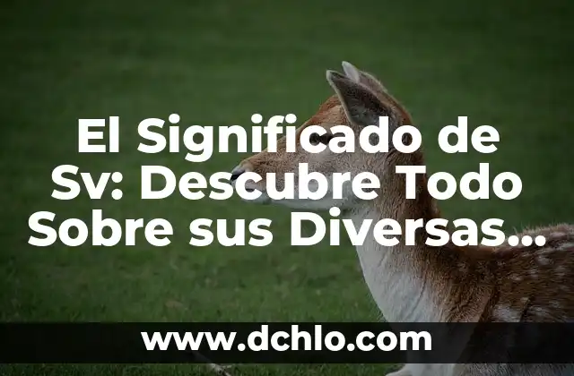 Infraestructura de una empresa: Todo lo que debes saber 5 El Significado de Sv: Descubre Todo Sobre sus Diversas Interpretaciones