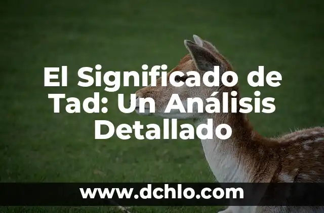 Significado en Alemán de Führer: Un Análisis Integral 4 El Significado de Tad: Un Análisis Detallado