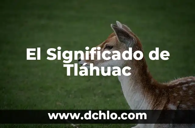 Significado de Tibia 6 El Significado de Tláhuac