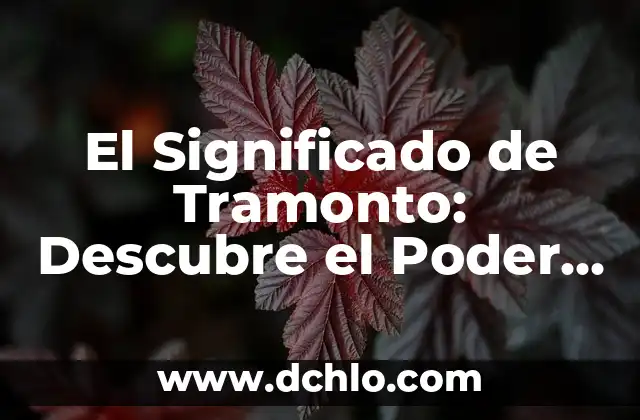Definición en inglés de la palabra pepper 6 El Significado de Tramonto: Descubre el Poder de esta Palabra