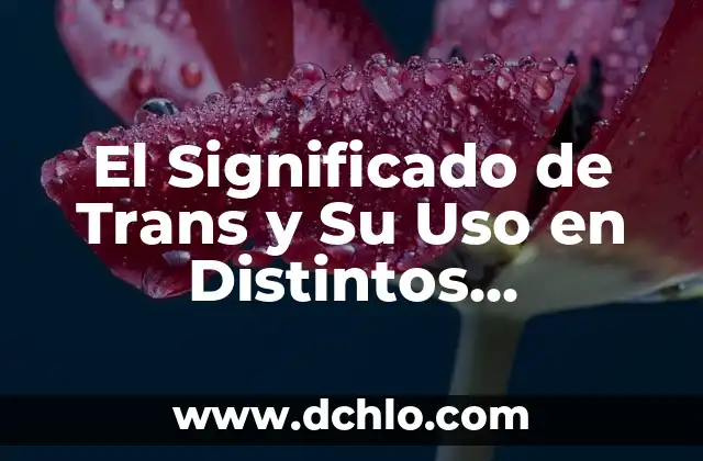 Contextos de convivencia significativa: el arte de la coexistencia 5 El Significado de Trans y Su Uso en Distintos Contextos