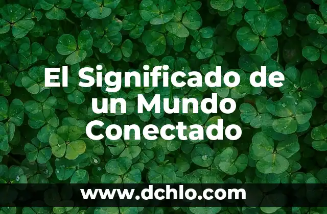 El Mundo de las Inversiones 5 El Significado de un Mundo Conectado