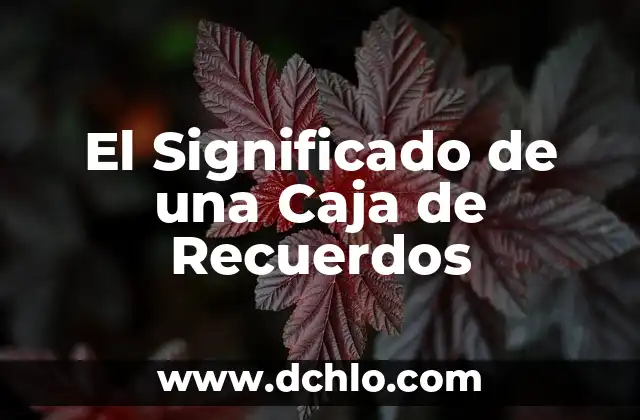 Como hacer una caja luminosa 6 El Significado de una Caja de Recuerdos