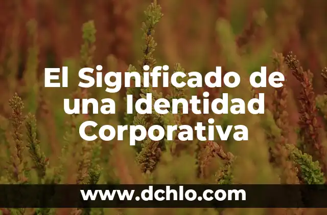 Significado de Variedad e Identidad 7 El Significado de una Identidad Corporativa