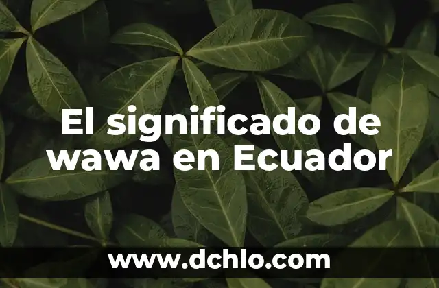 Significado de Yaya en Ecuador 4 El significado de wawa en Ecuador