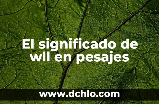 Plan de Pago Semestral Significado 4 El significado de wll en pesajes