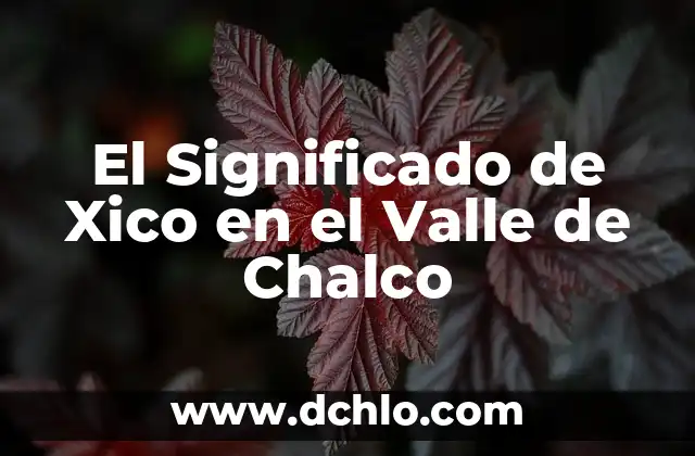 Valle Significado de la Palabra 6 El Significado de Xico en el Valle de Chalco