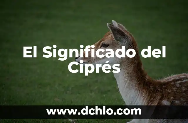 El significado de cril 3 El Significado del Ciprés