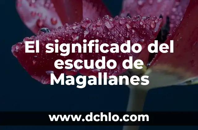 El significado profundo de la fe: Un viaje espiritual 5 El significado del escudo de Magallanes