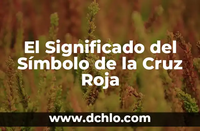 Significado de la Cruz Roja 8 El Significado del Símbolo de la Cruz Roja