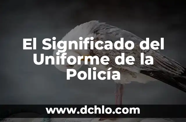 El Significado del Turismo de Negocios 5 El Significado del Uniforme de la Policía