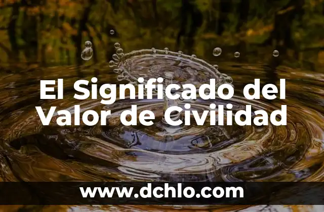 Significado del valor de la comprensión 3 El Significado del Valor de Civilidad