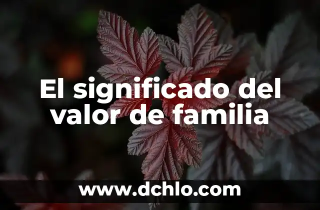 Significado del valor de la comprensión 7 El significado del valor de familia