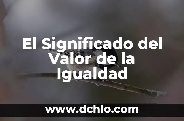 Significado del Valor de Laligor 3 El Significado del Valor de la Igualdad