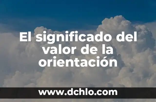 El significado del valor de la individualidad 8 El significado del valor de la orientación