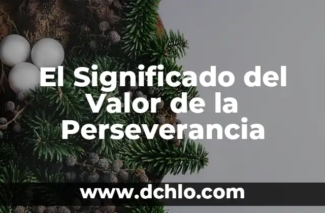 Valor y significado de correlación 4 El Significado del Valor de la Perseverancia