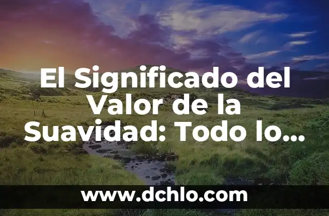 Significado del Valor de la Suavidad 8 El Significado del Valor de la Suavidad: Todo lo que Necesitas Saber