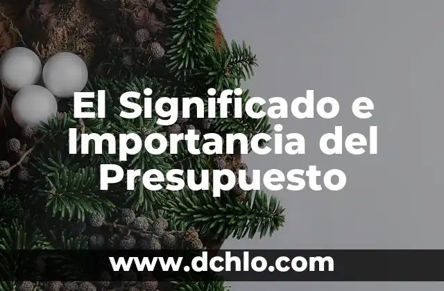 Significado de Tabatinga 5 El Significado e Importancia del Presupuesto